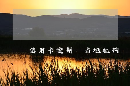 信用卡逾期 当地机构 信用卡逾期 当地机构